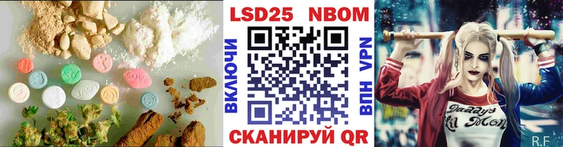 omg tor  Донской  нарко площадка формула  LSD-25 экстази кислота 